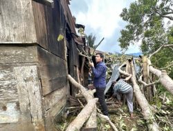 Respons Cepat PLN, Bantu Warga Lungar Atasi Rumah Ambruk Tertimpa Pohon