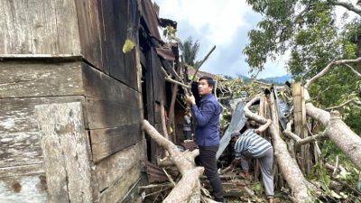 Respons Cepat PLN, Bantu Warga Lungar Atasi Rumah Ambruk Tertimpa Pohon