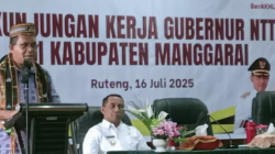 Heri Nabit