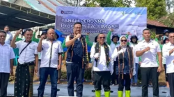 Tajumase