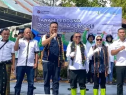 Tajumase Diluncurkan di Manggarai, Sinergi Desa dan Perusahaan Demi Ketahanan Pangan dan Generasi Sehat